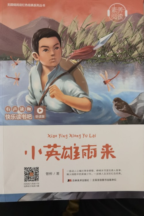 無障礙閱讀紅色經(jīng)典系列叢書:小英雄雨來(附讀寫達標手冊)