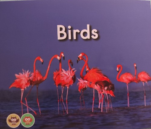 海尼曼GK Birds