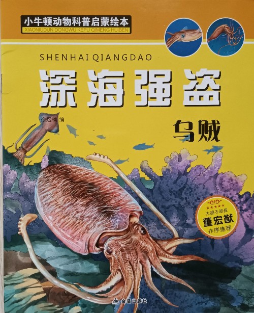 深海強(qiáng)盜 烏賊