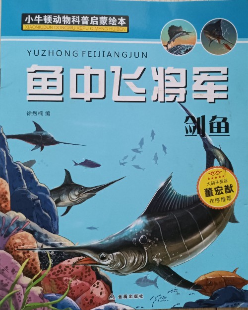 魚(yú)中飛將軍 劍魚(yú)