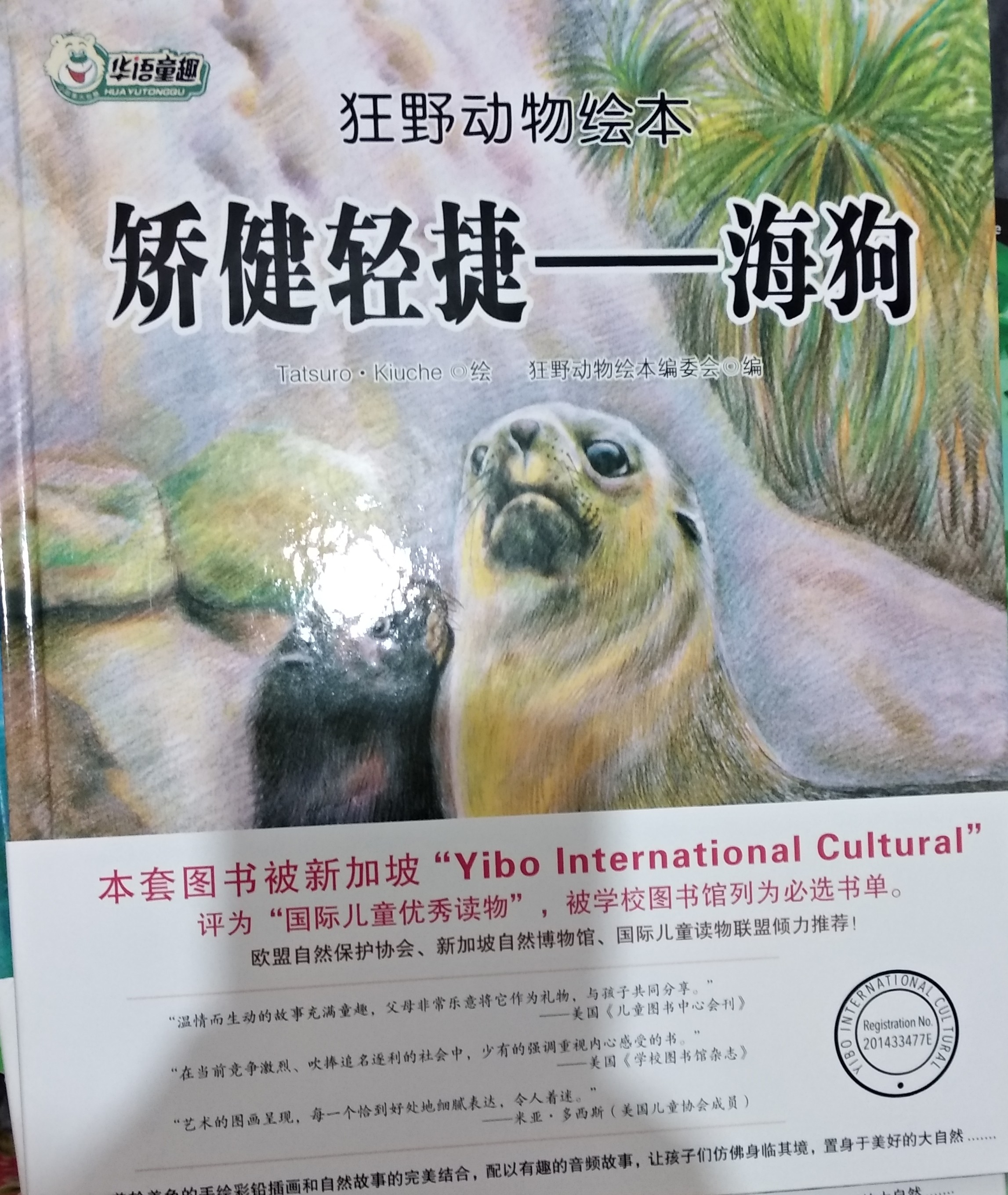 狂野動物繪本:矯健輕捷-海狗