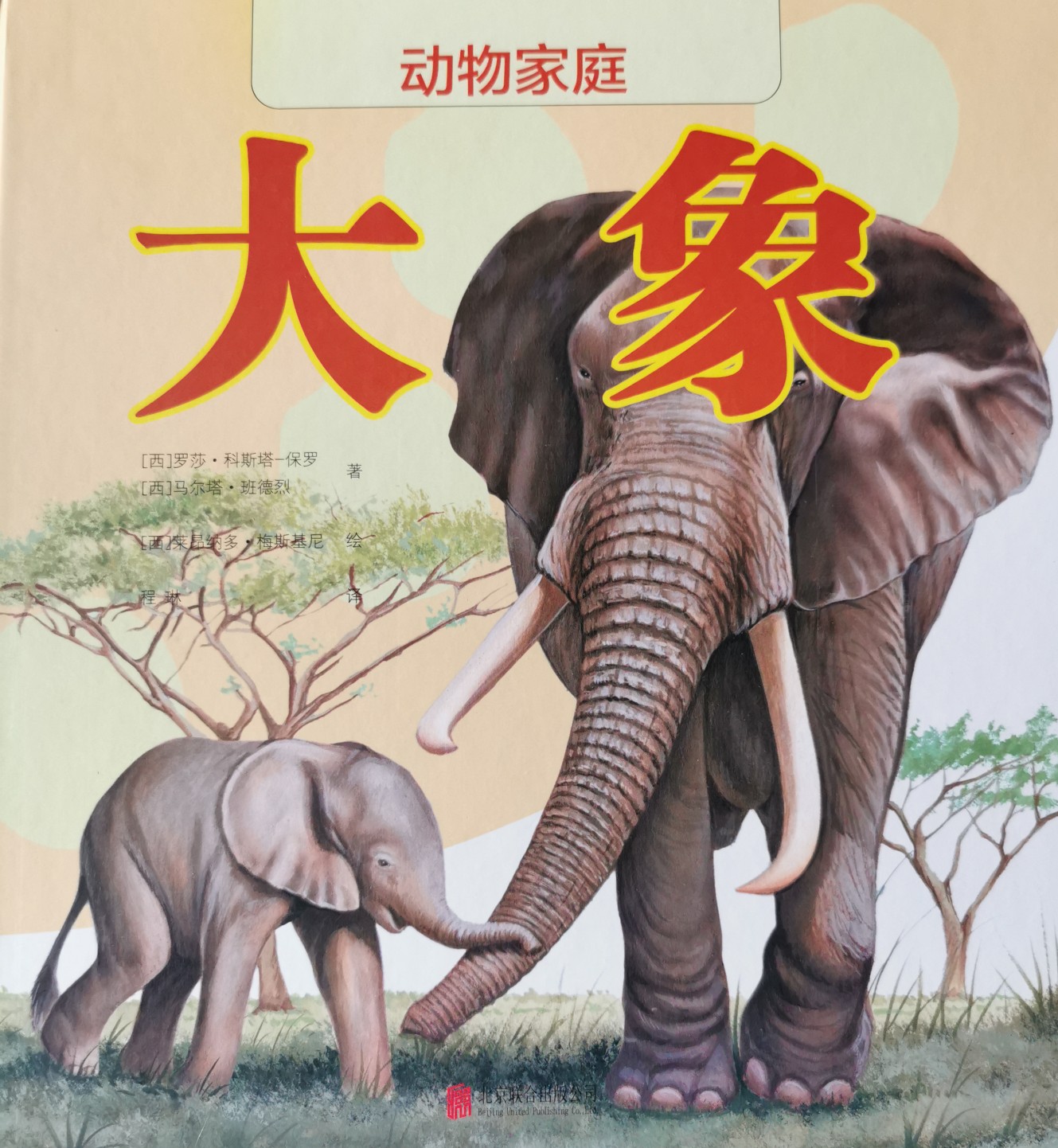 動物家庭: 大象