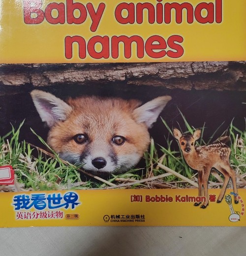 Baby Animal Names