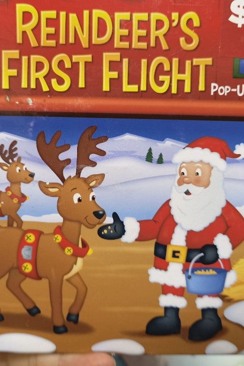 Reindeer's First Flight