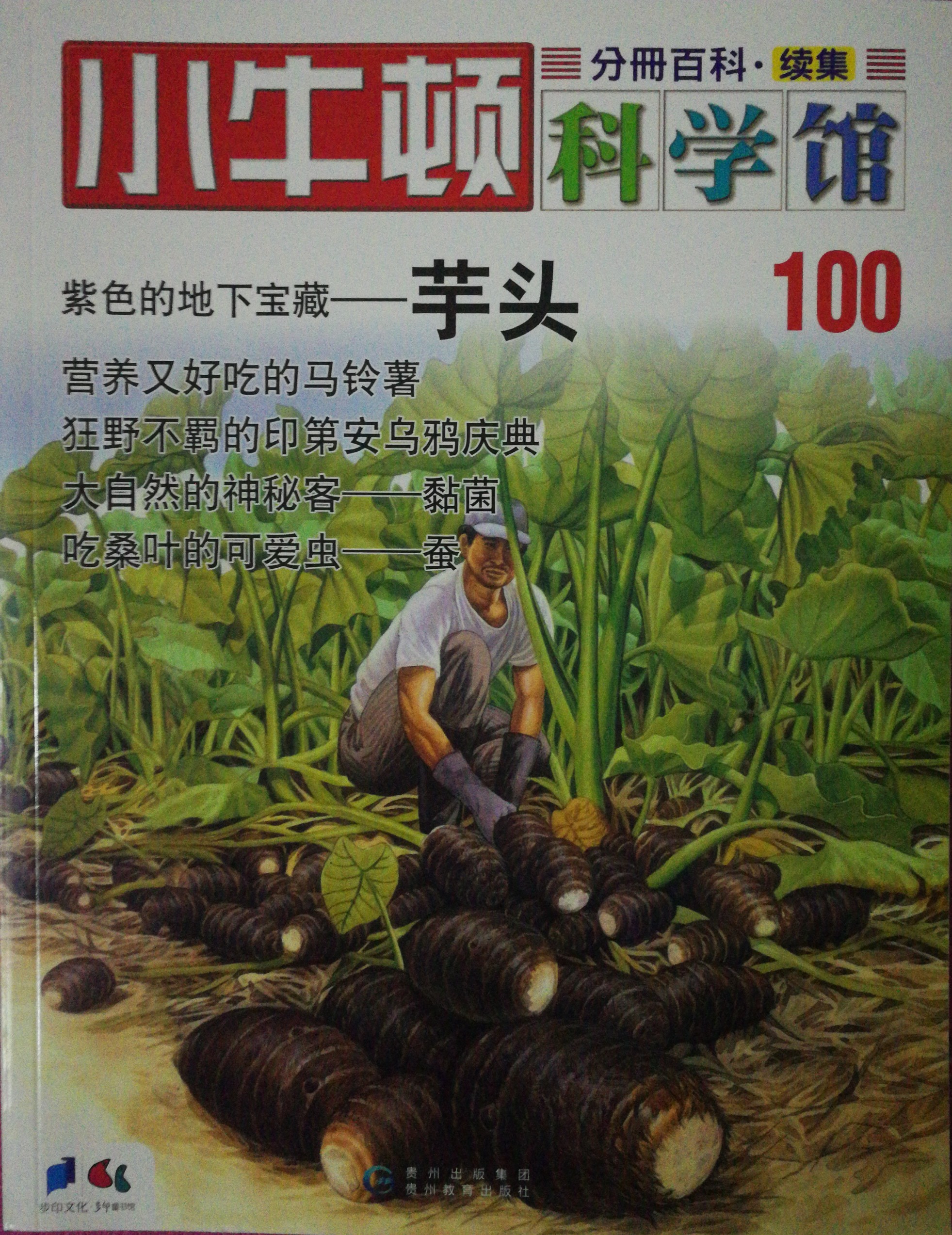 小牛頓科學館100: 芋頭