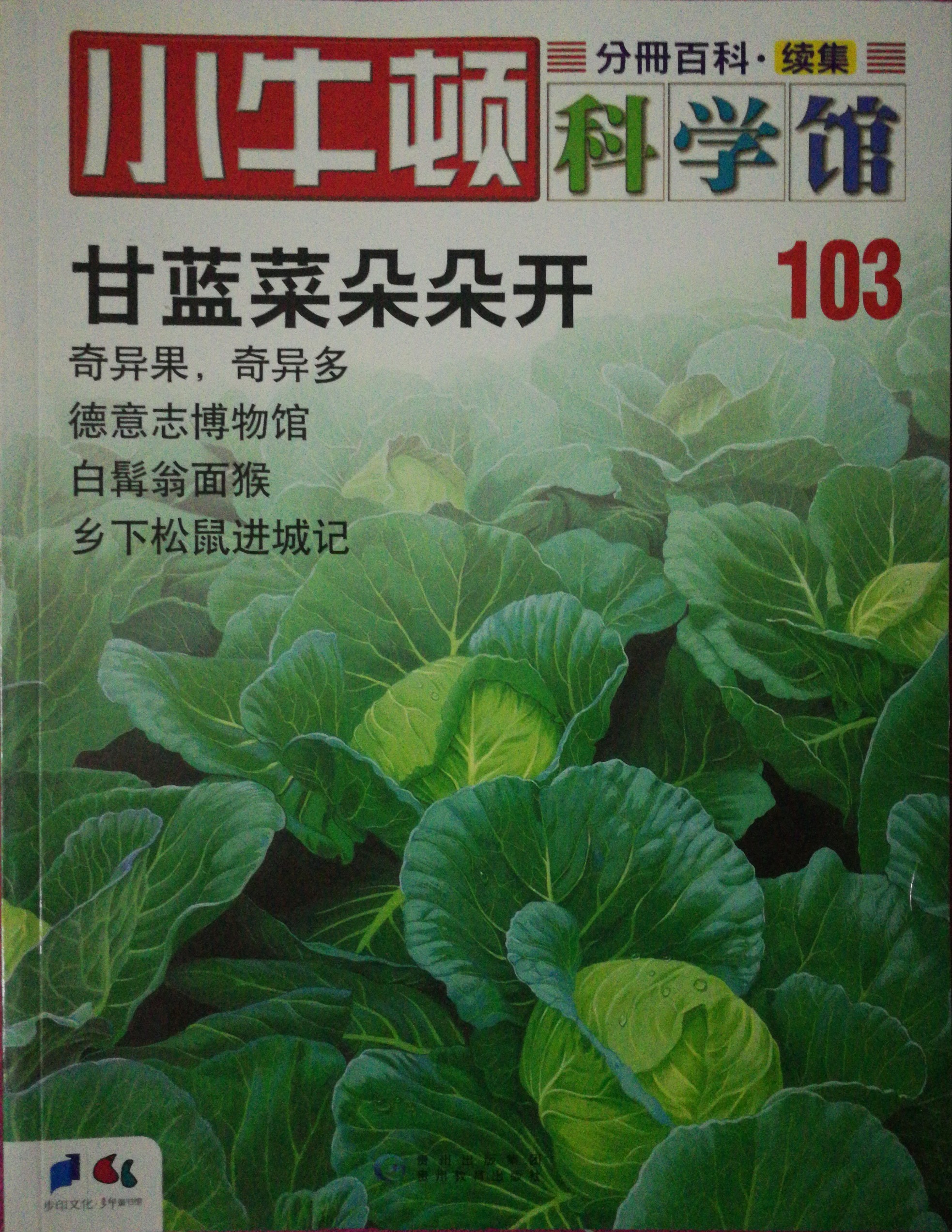 小牛頓科學館103: 甘藍菜朵朵開