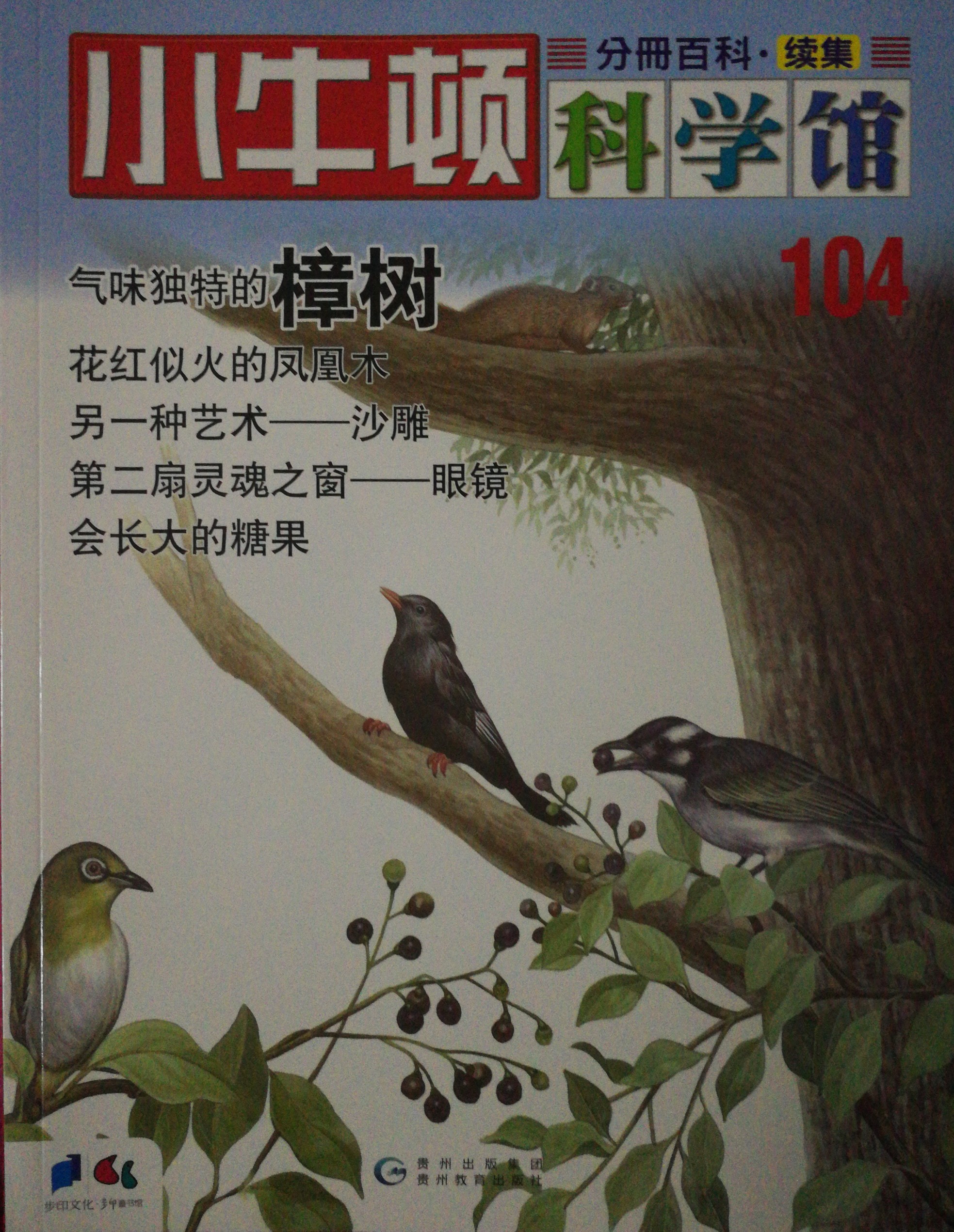 小牛頓科學館104: 樟樹