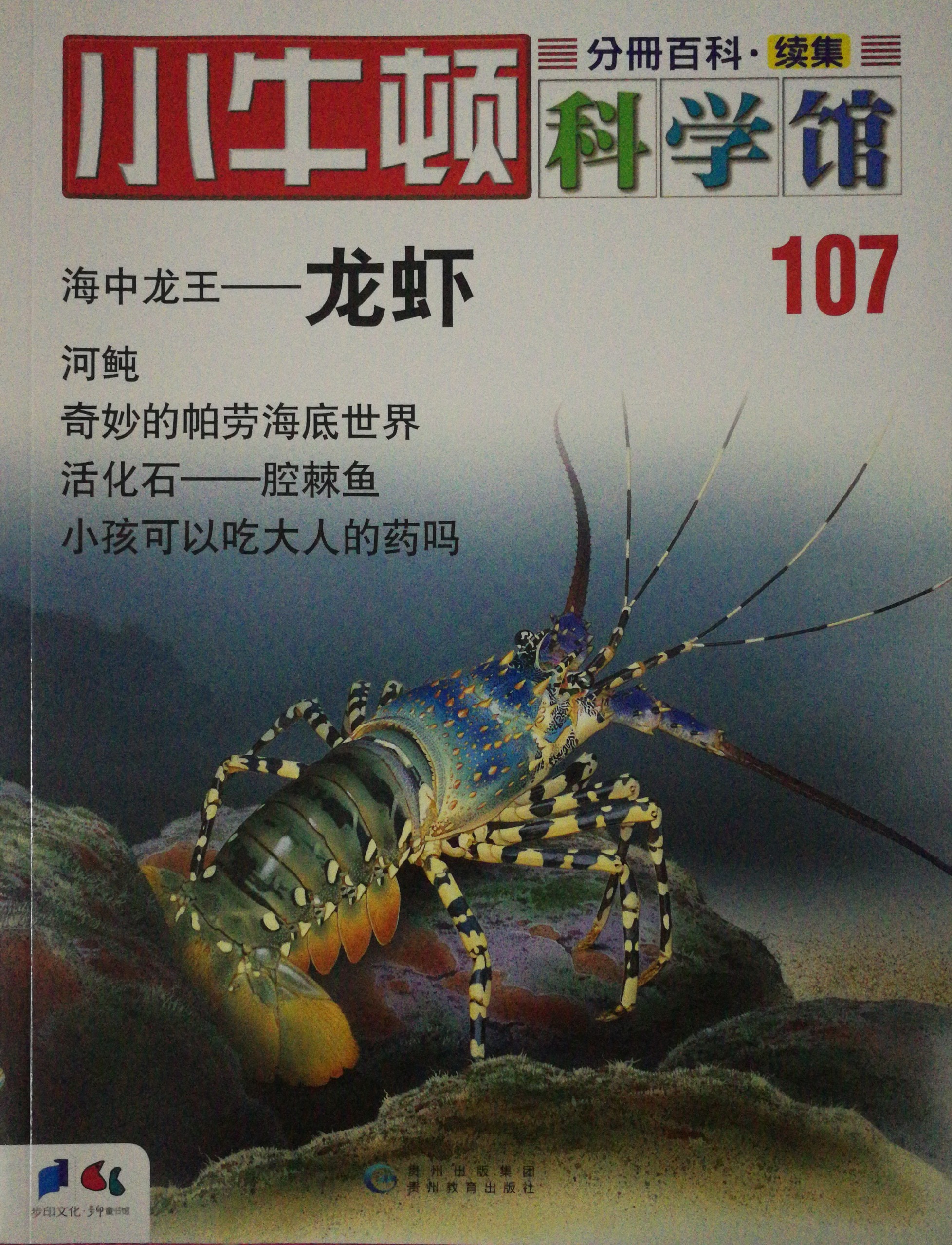 小牛頓科學館107: 龍蝦