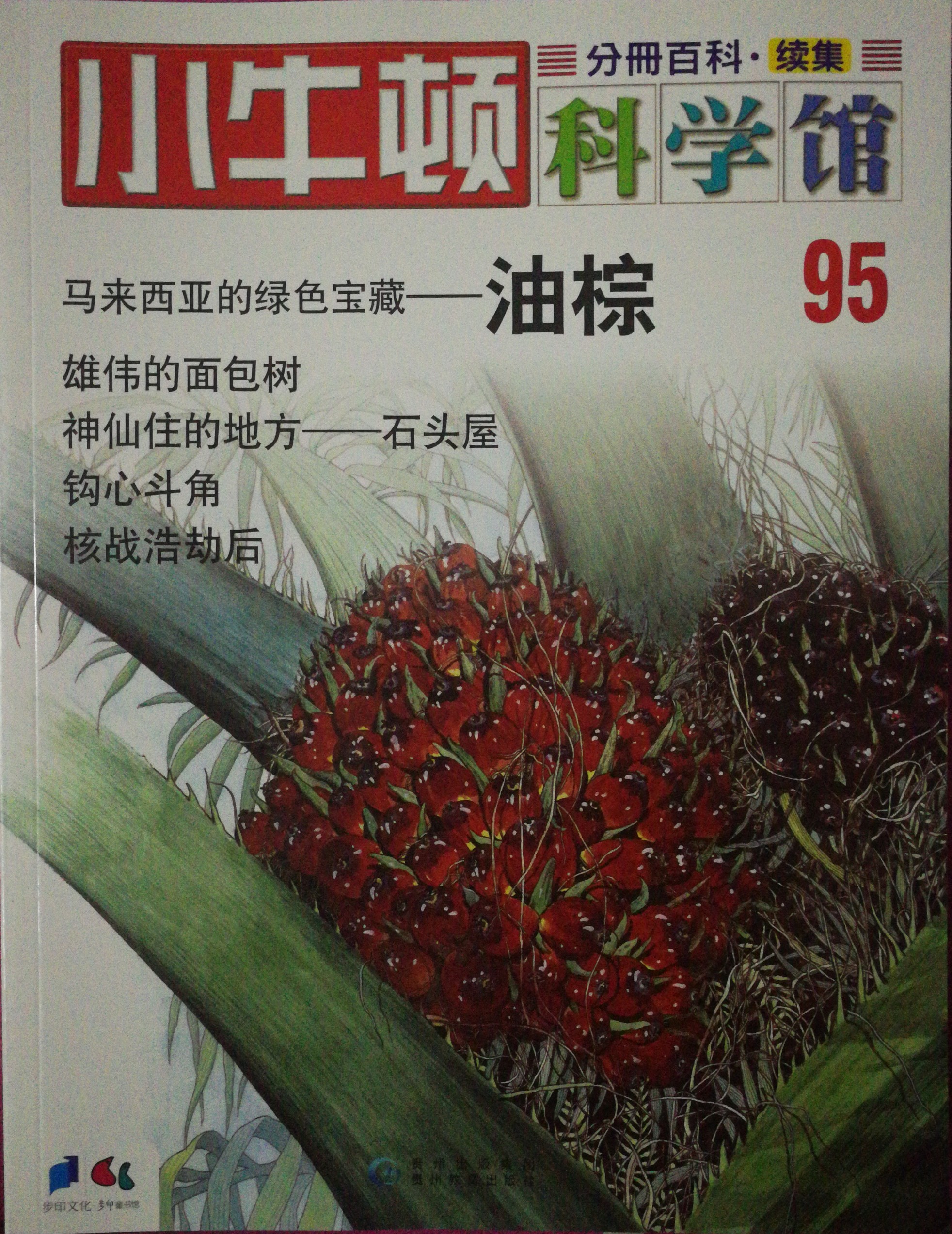 小牛頓科學館95: 油棕