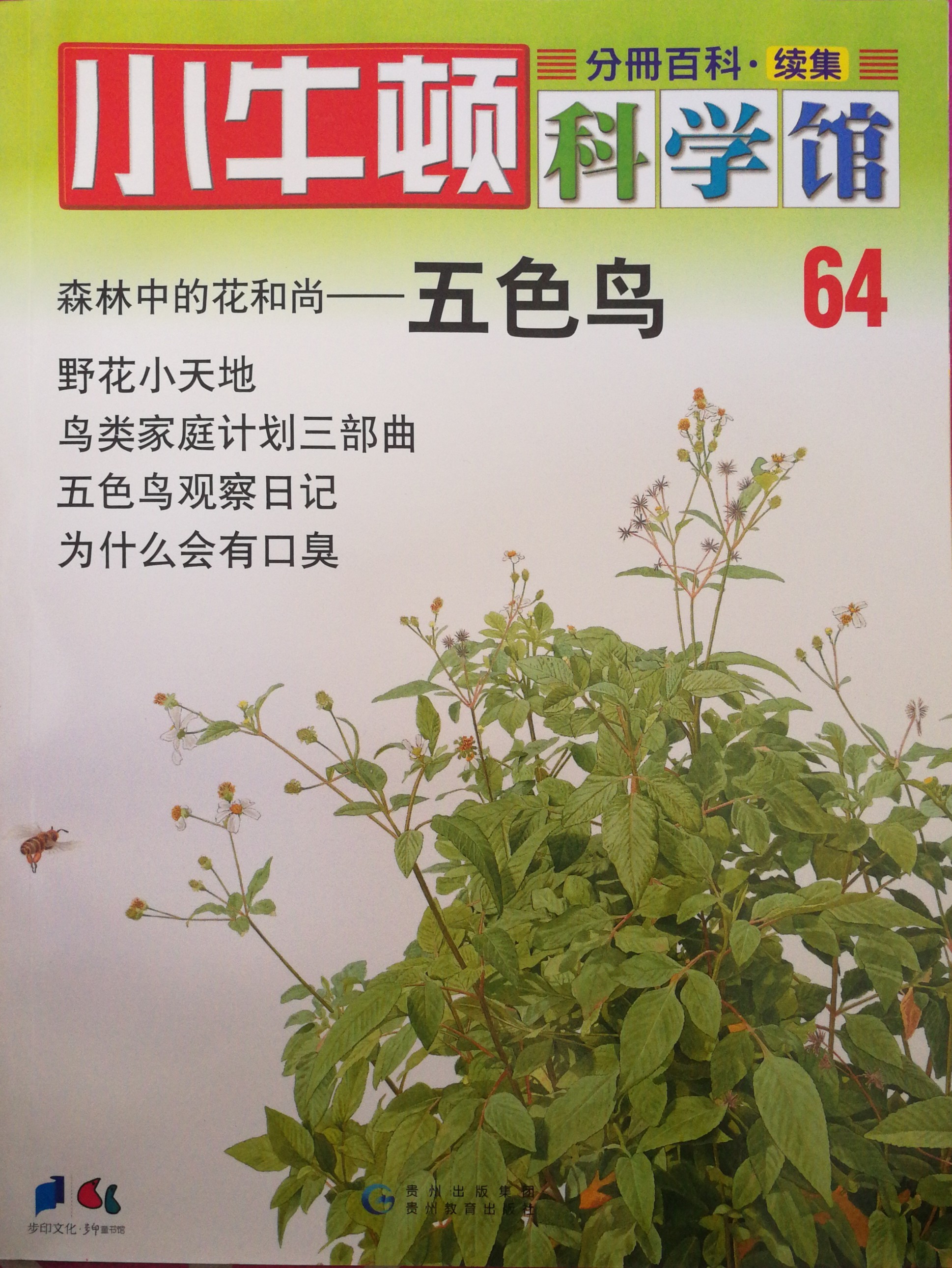 小牛頓科學(xué)館64: 五色鳥