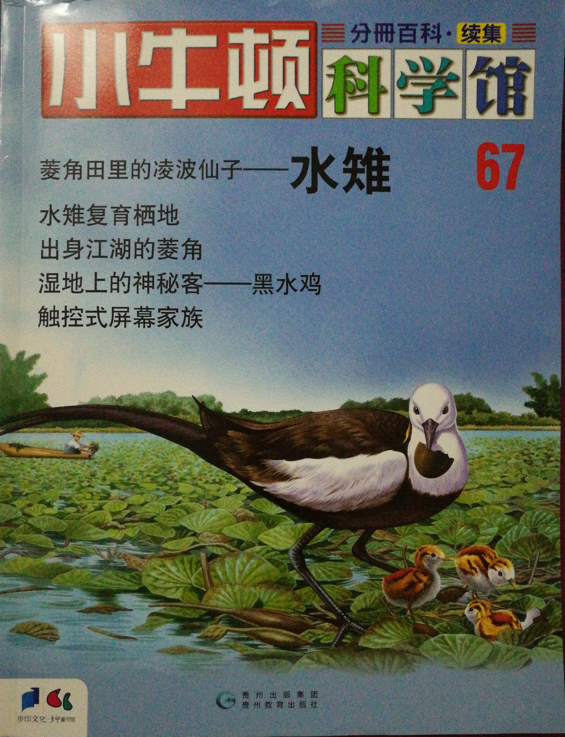 小牛頓科學館67:水雉