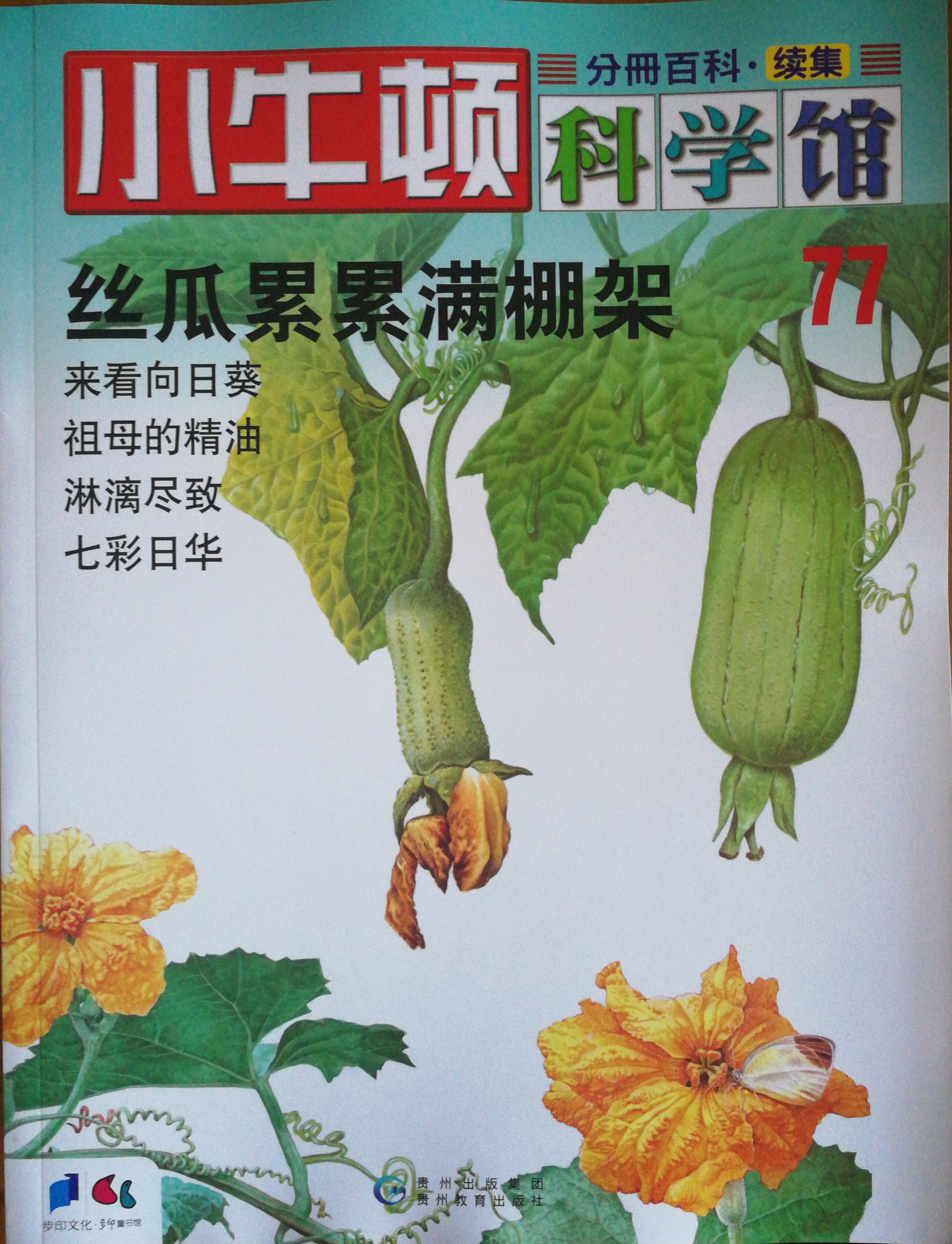 小牛頓科學(xué)館77: 絲瓜累累滿棚架