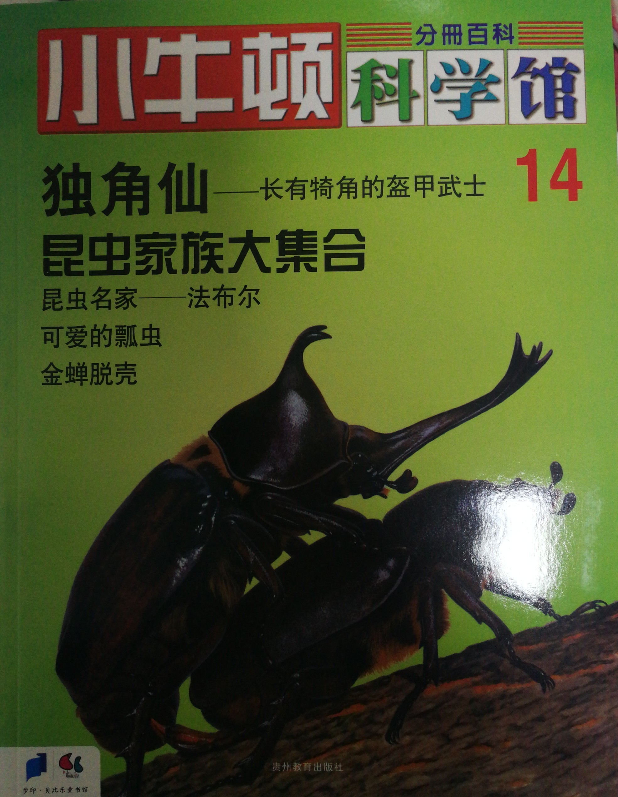 小牛頓科學(xué)館14: 獨角仙、昆蟲家族大集合