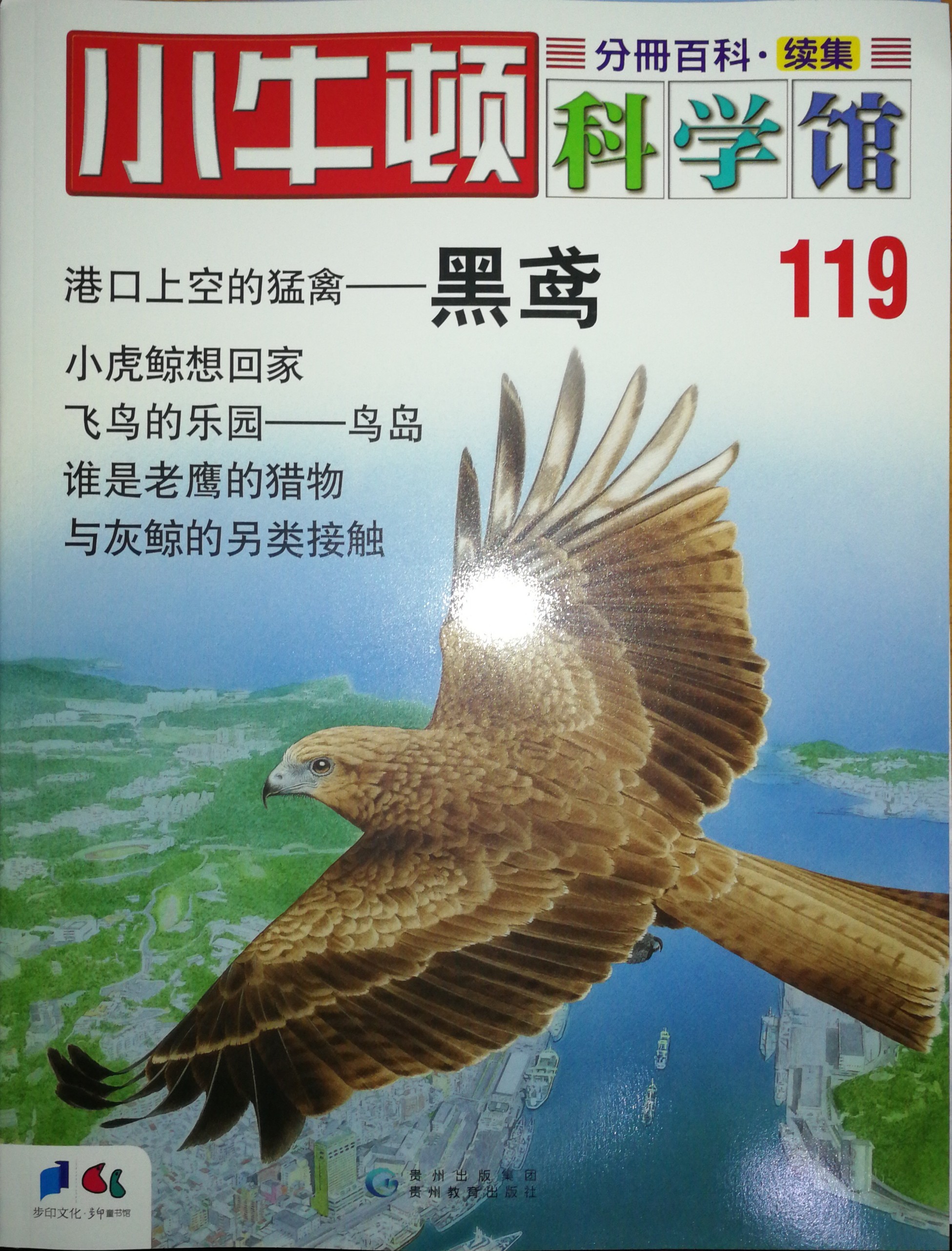 小牛頓科學館119: 黑鳶