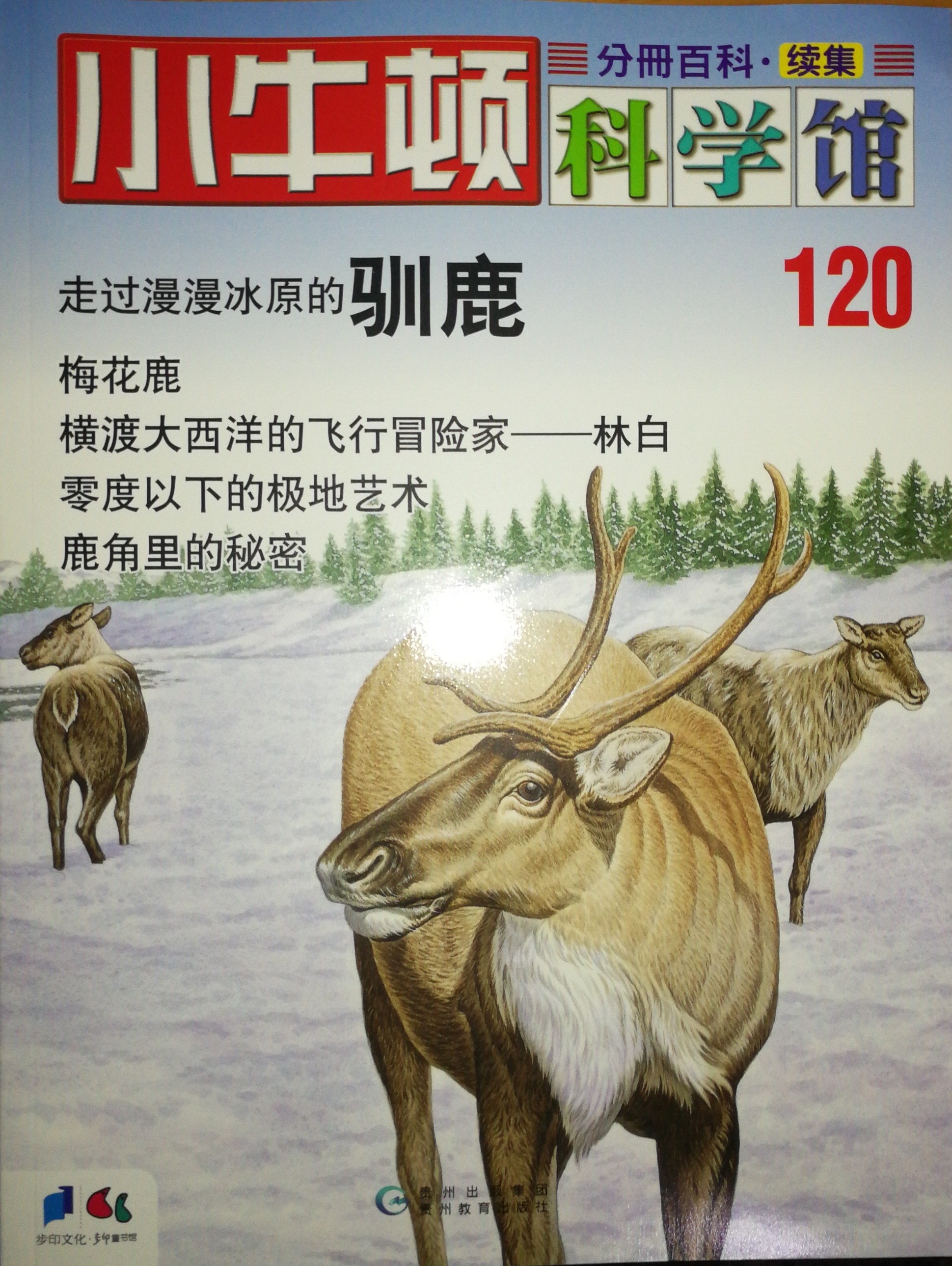 小牛頓科學館120:馴鹿