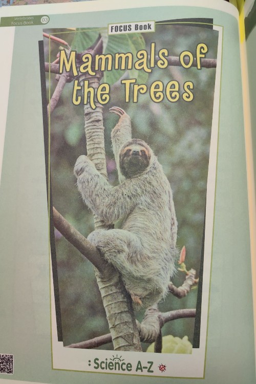 SAZ Grades 3-4 Mammals of the Trees