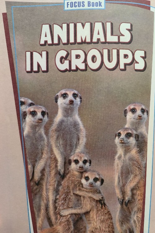Science A-Z Animals in Groups
