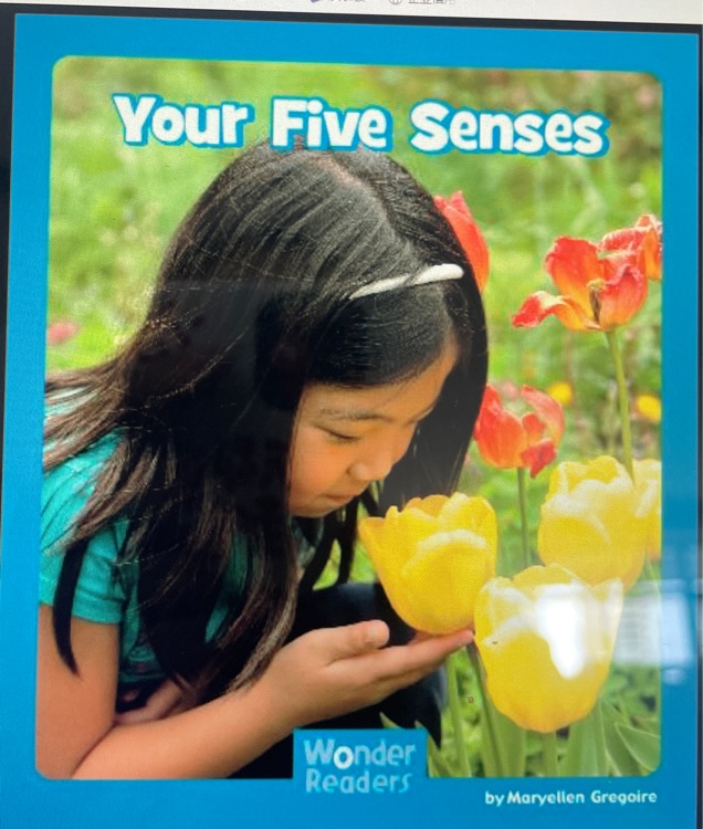 Your Five Senses