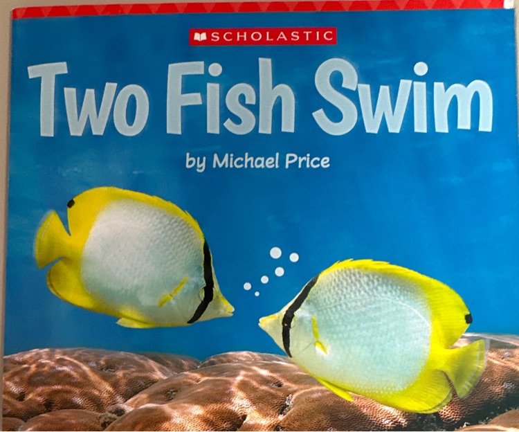 Two fish swim