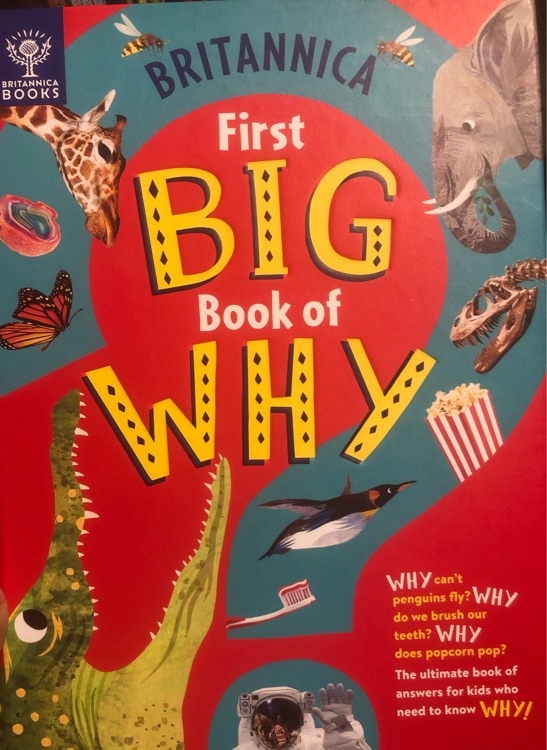 first big book of why