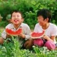 十七歲半