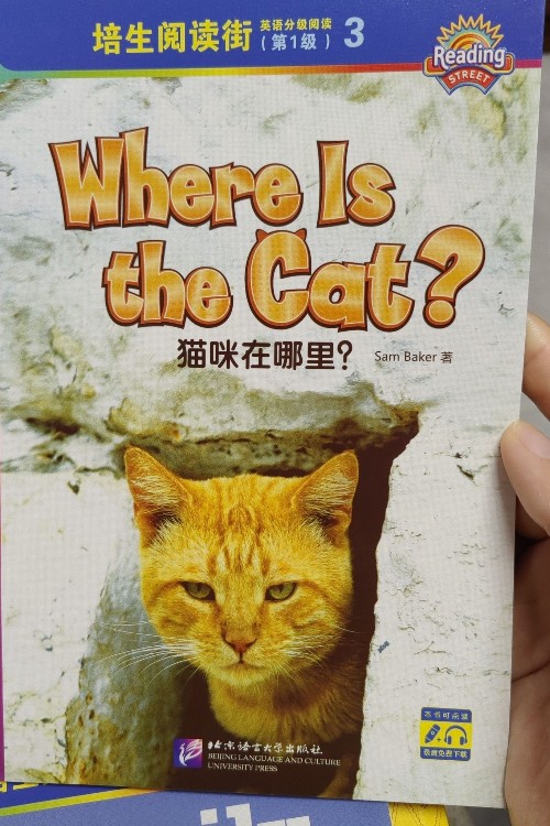 培生閱讀街 Where is the cat?