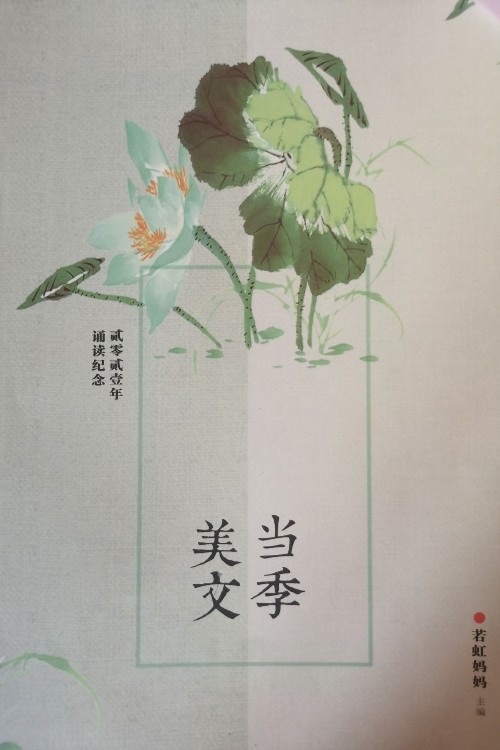 美文