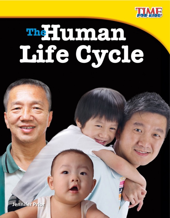 the human life cycle