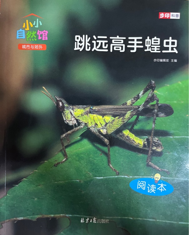 小小自然館: 跳遠(yuǎn)高手蝗蟲