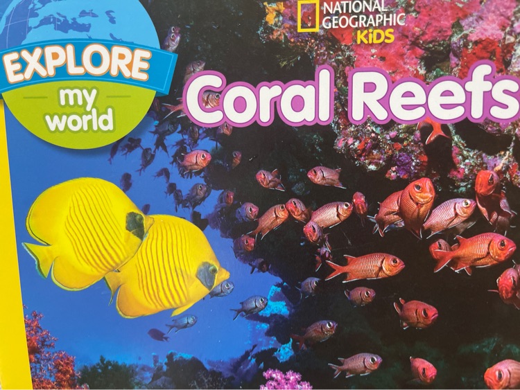 Coral reefs