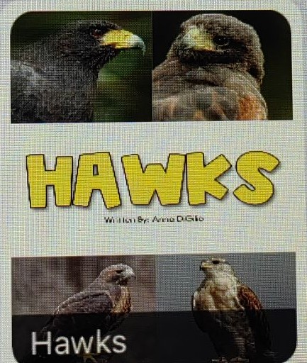 hawks