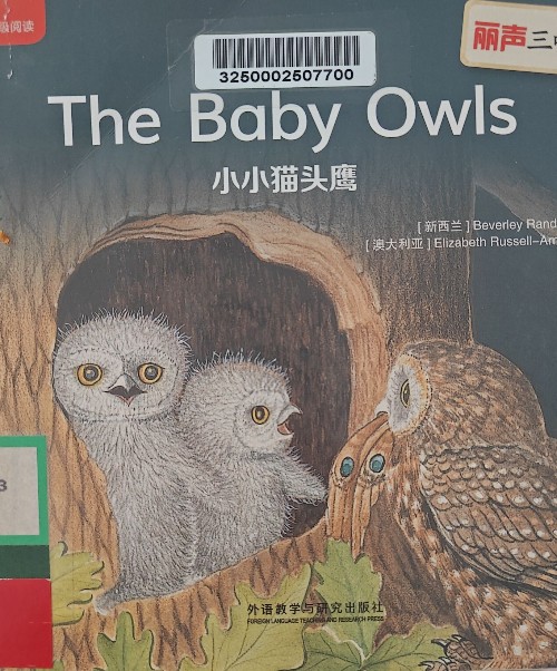 The Baby Owls PM Red 2 Fiction