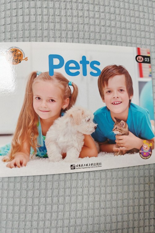 AA-03 	Pets