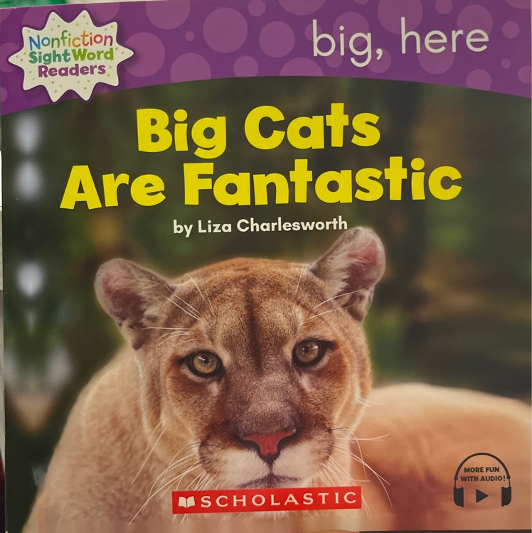 Big Cats Are Fantastic