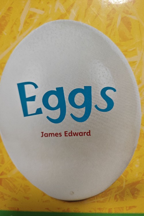 eggs