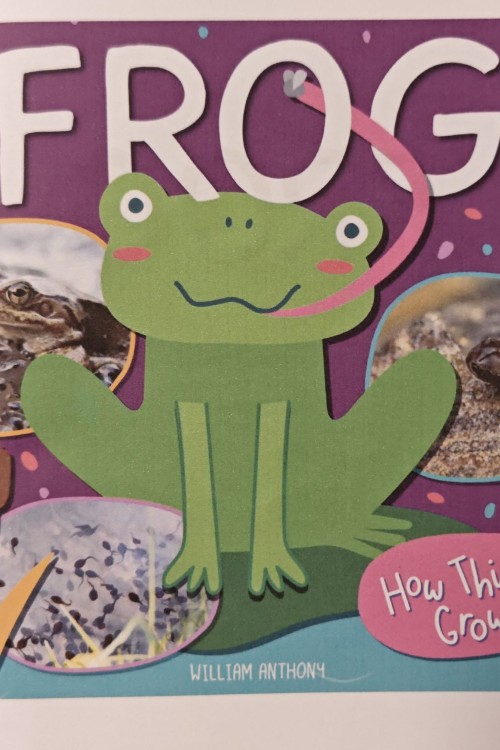 frog