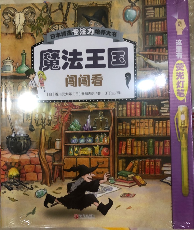 日本精選專注力培養(yǎng)大書 (全2輯 共6冊(cè))