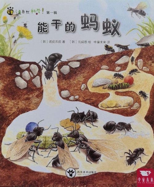 能干的螞蟻