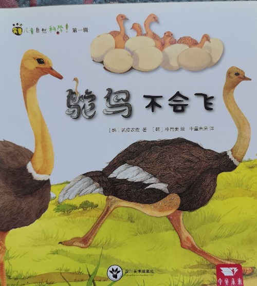 鴕鳥不會飛