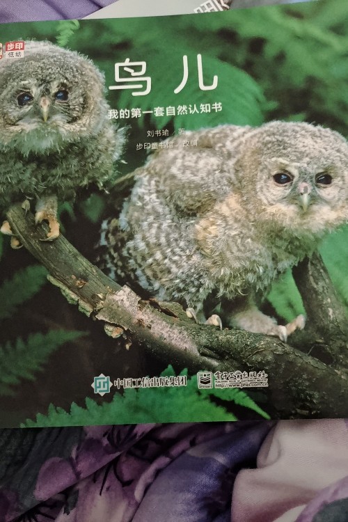 鳥兒