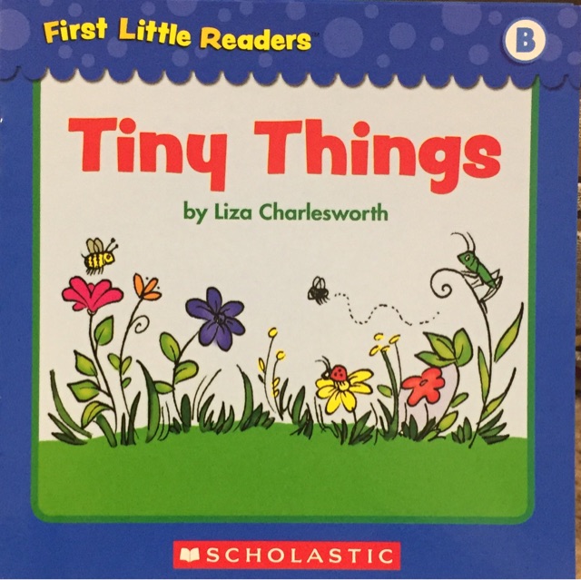 First Little Readers Level B-Tiny Things