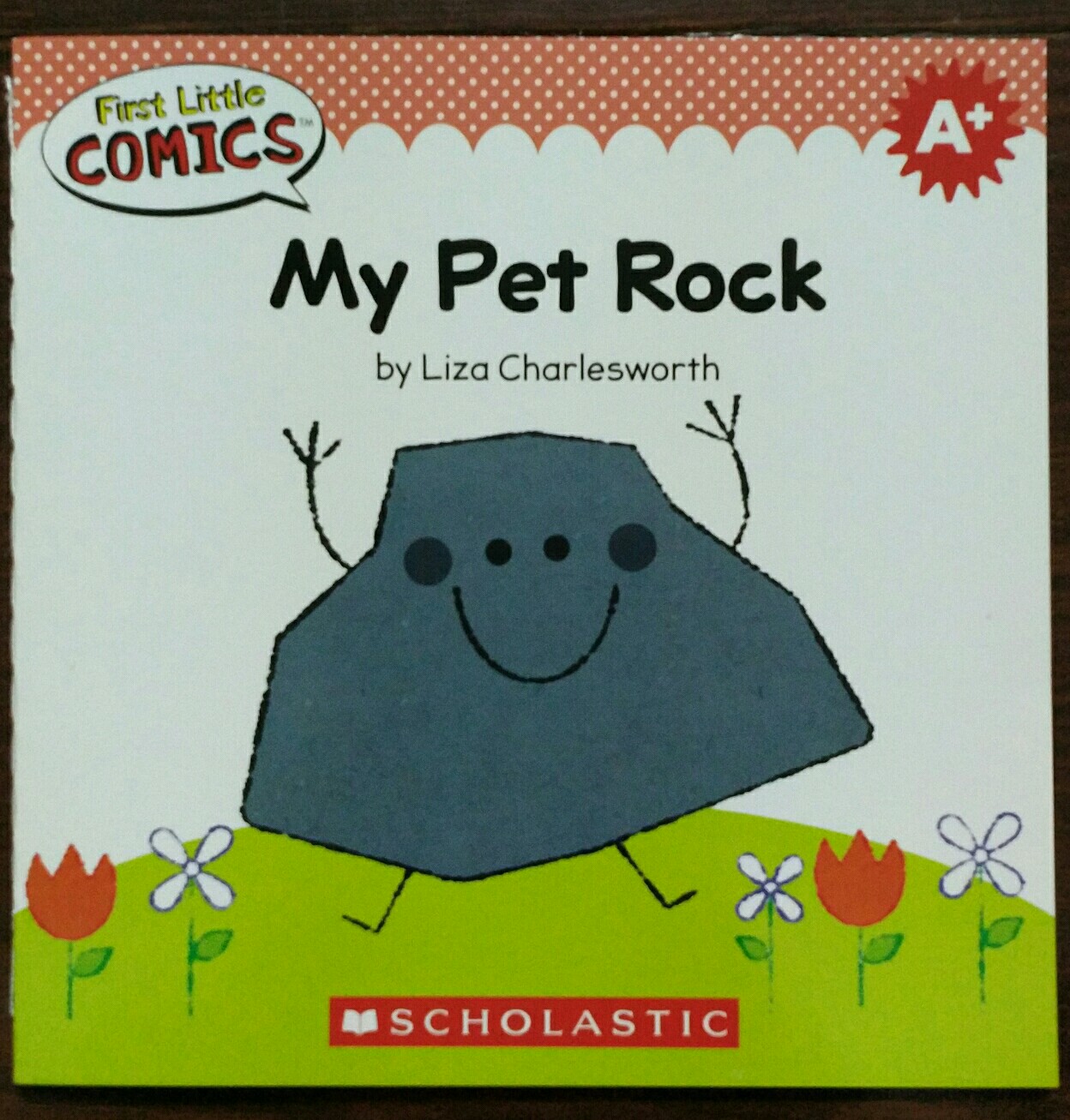 My Pet Rock