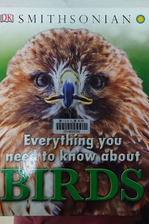 Everything you need to know about Birds