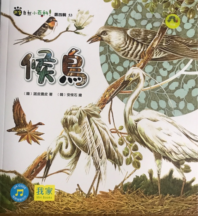 我家自然小百科 第四輯 53 侯鳥