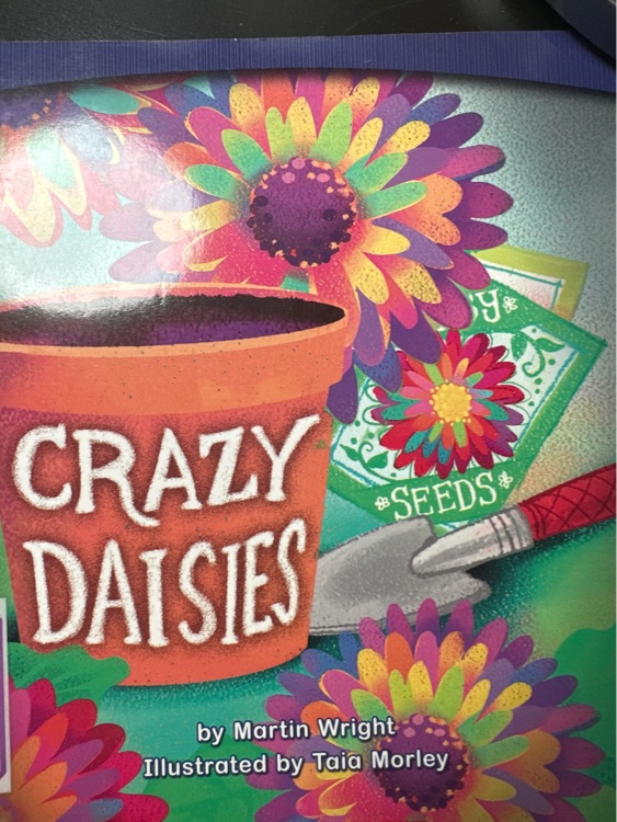 Crazy Daisies