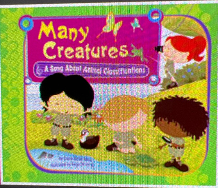 Many creatures: a song about animal classification