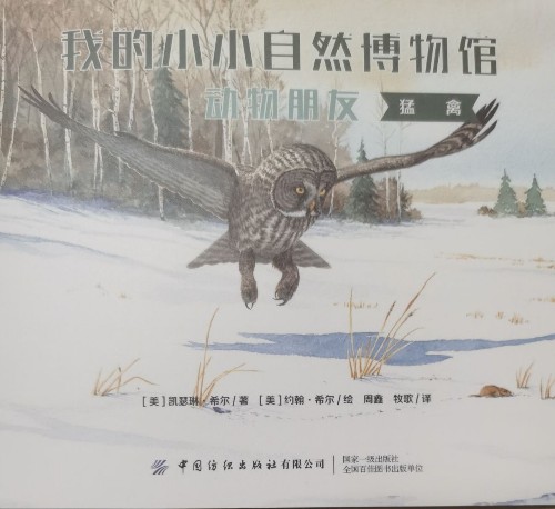 我的小小自然博物館.動物朋友.猛禽