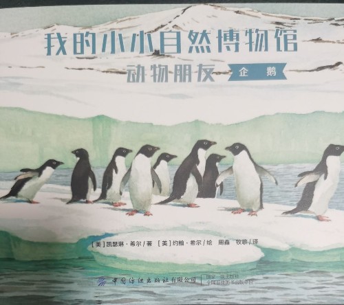 我的小小自然博物馆: 动物朋友: 企鹅