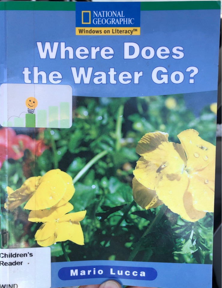 Where does the water go?