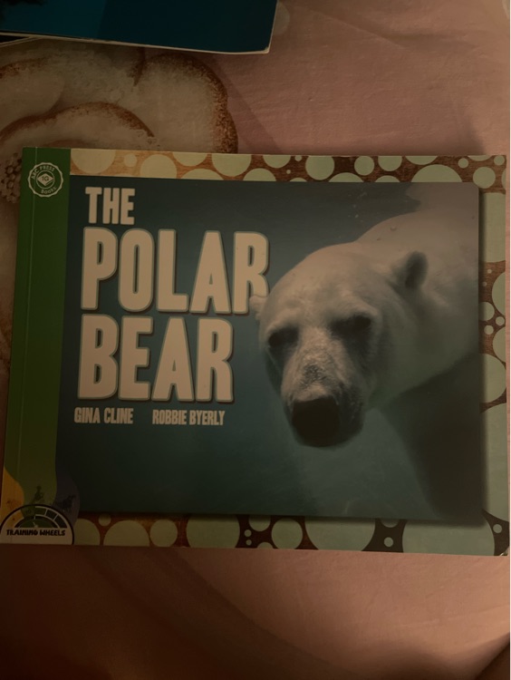 The polar bear